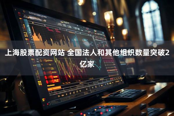 上海股票配资网站 全国法人和其他组织数量突破2亿家