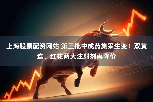 上海股票配资网站 第三批中成药集采生变！双黄连、红花两大注射剂再降价