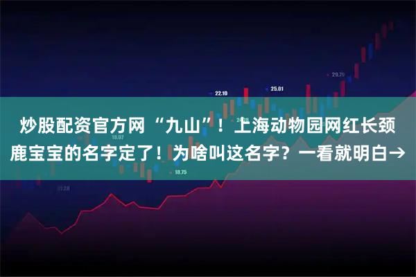 炒股配资官方网 “九山”！上海动物园网红长颈鹿宝宝的名字定了！为啥叫这名字？一看就明白→