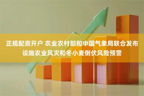 正规配资开户 农业农村部和中国气象局联合发布设施农业风灾和冬小麦倒伏风险预警